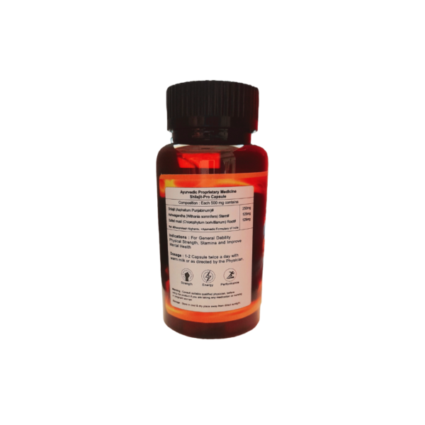 PHC Shilajit-Pro - Image 7