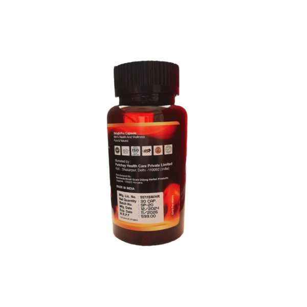 PHC Shilajit-Pro - Image 6